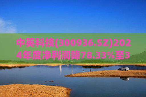 中英科技(300936.SZ)2024年度净利润降78.33%至3163.82万元  拟10派1元