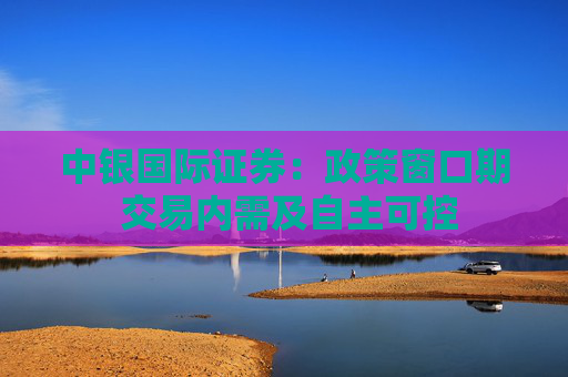 中银国际证券：政策窗口期 交易内需及自主可控  第1张
