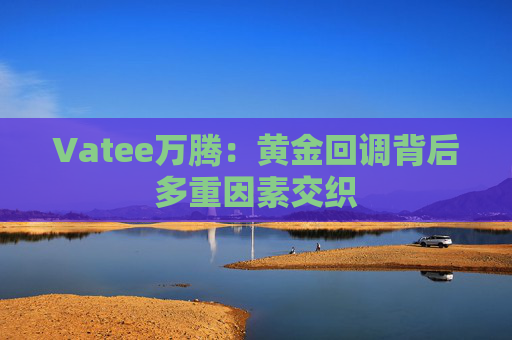 Vatee万腾：黄金回调背后多重因素交织