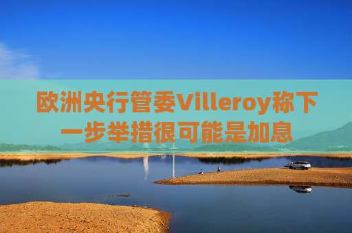 欧洲央行管委Villeroy称下一步举措很可能是加息