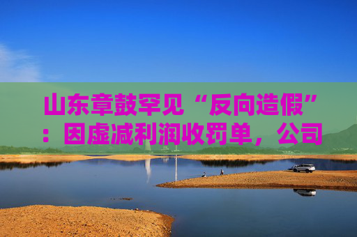 山东章鼓罕见“反向造假”：因虚减利润收罚单，公司将被ST