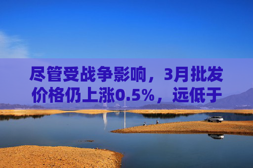尽管受战争影响，3月批发价格仍上涨0.5%，远低于预期  第1张