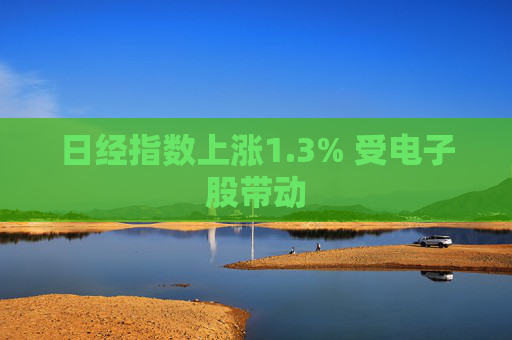 日经指数上涨1.3% 受电子股带动