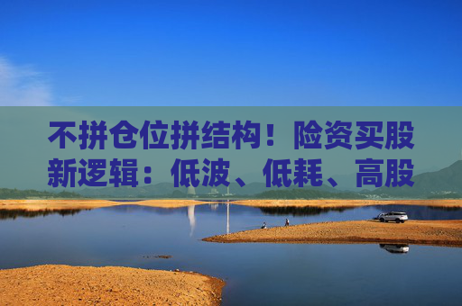 不拼仓位拼结构！险资买股新逻辑：低波、低耗、高股息