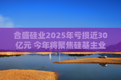 合盛硅业2025年亏损近30亿元 今年将聚焦硅基主业、适度收缩光伏业务投入 第1张 合盛硅业2025年亏损近30亿元 今年将聚焦硅基主业、适度收缩光伏业务投入 第1张