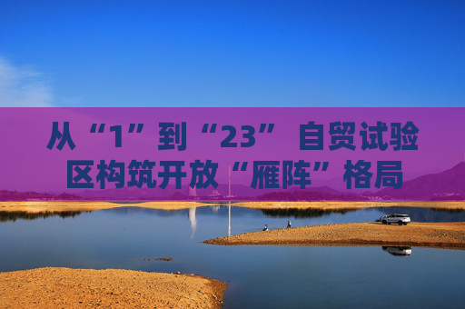 从“1”到“23” 自贸试验区构筑开放“雁阵”格局