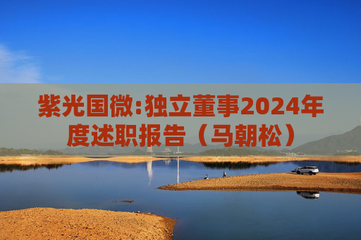 紫光国微:独立董事2024年度述职报告（马朝松）