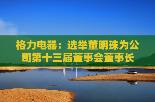 格力电器：选举董明珠为公司第十三届董事会董事长  第1张