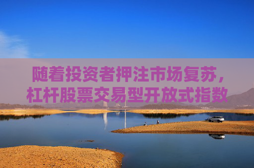 随着投资者押注市场复苏，杠杆股票交易型开放式指数基金（ETF）受到青睐
