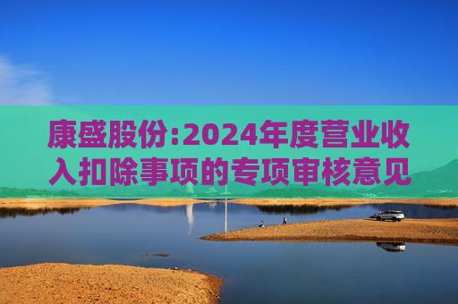 康盛股份:2024年度营业收入扣除事项的专项审核意见