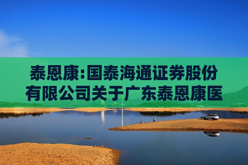 泰恩康:国泰海通证券股份有限公司关于广东泰恩康医药股份有限公司2024年度内部控制评价报告的核查意见  第1张