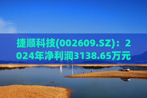 捷顺科技(002609.SZ)：2024年净利润3138.65万元 同比减少72.04%