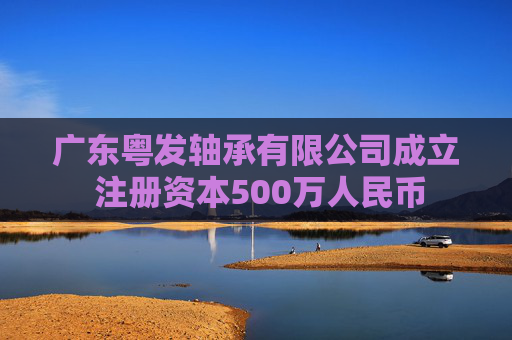 广东粤发轴承有限公司成立 注册资本500万人民币