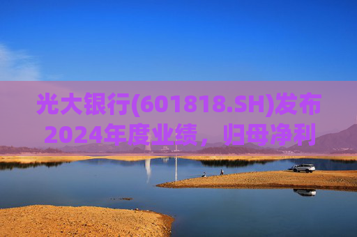 光大银行(601818.SH)发布2024年度业绩，归母净利润416.96亿元，同比增长2.22%  第1张