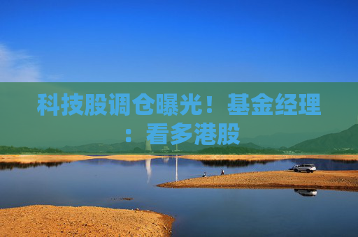 科技股调仓曝光！基金经理：看多港股