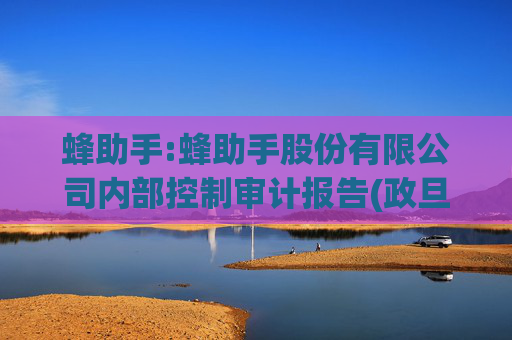 蜂助手:蜂助手股份有限公司内部控制审计报告(政旦志远内字第2500019号)  第1张