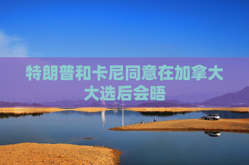 特朗普和卡尼同意在加拿大大选后会晤  第1张