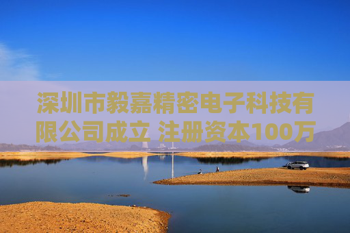 深圳市毅嘉精密电子科技有限公司成立 注册资本100万人民币