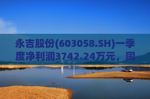 永吉股份(603058.SH)一季度净利润3742.24万元，同比下降7.58%  第1张