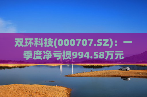双环科技(000707.SZ)：一季度净亏损994.58万元  第1张