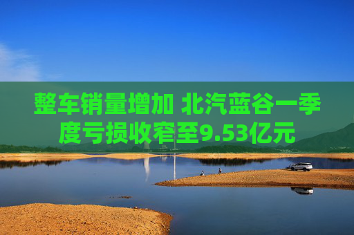 整车销量增加 北汽蓝谷一季度亏损收窄至9.53亿元  第1张