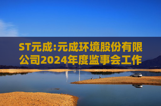ST元成:元成环境股份有限公司2024年度监事会工作报告  第1张