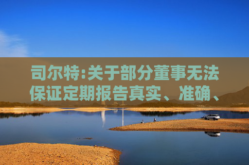 司尔特:关于部分董事无法保证定期报告真实、准确、完整或者有异议的相关说明  第1张