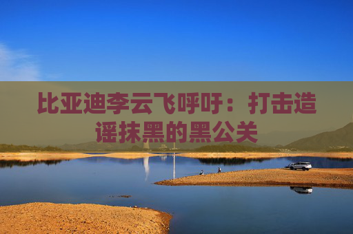 比亚迪李云飞呼吁：打击造谣抹黑的黑公关  第1张