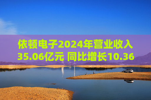 依顿电子2024年营业收入35.06亿元 同比增长10.36%