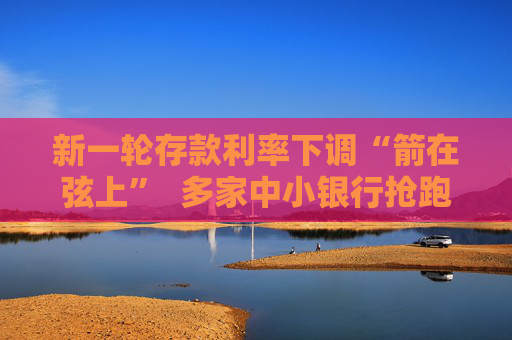 新一轮存款利率下调“箭在弦上”  多家中小银行抢跑压降负债成本