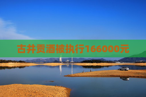 古井贡酒被执行166000元