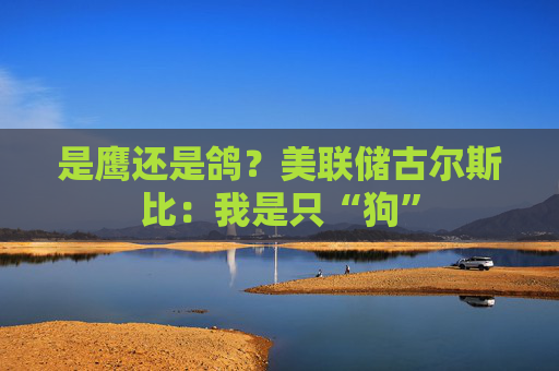 是鹰还是鸽？美联储古尔斯比：我是只“狗”