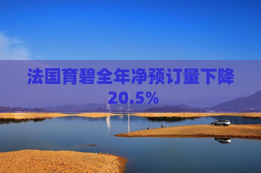 法国育碧全年净预订量下降 20.5%