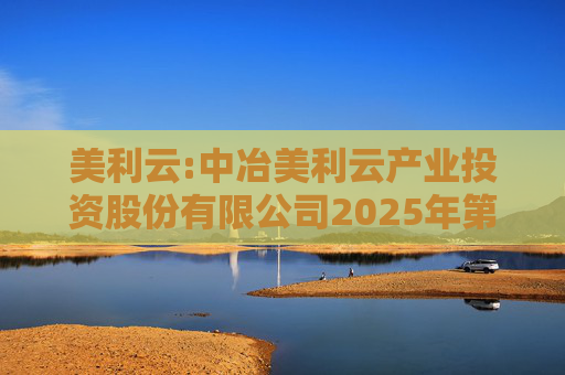 美利云:中冶美利云产业投资股份有限公司2025年第一次临时股东会决议公告