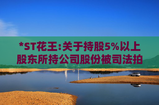 *ST花王:关于持股5%以上股东所持公司股份被司法拍卖的进展公告