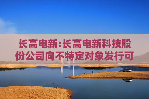 长高电新:长高电新科技股份公司向不特定对象发行可转换公司债券预案（二次修订稿）