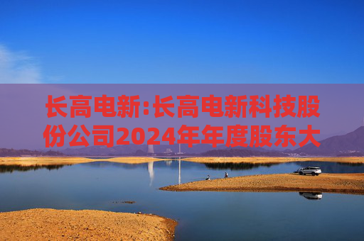 长高电新:长高电新科技股份公司2024年年度股东大会决议公告