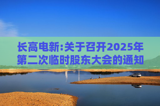 长高电新:关于召开2025年第二次临时股东大会的通知