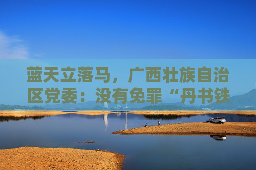 蓝天立落马，广西壮族自治区党委：没有免罪“丹书铁券”，也没有“铁帽子王”