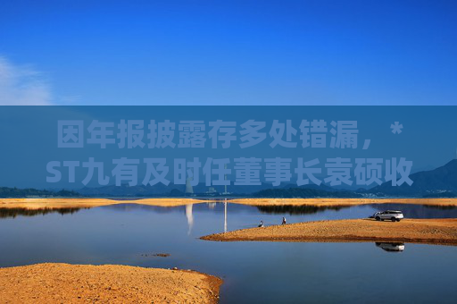 因年报披露存多处错漏，*ST九有及时任董事长袁硕收上交所监管警示函