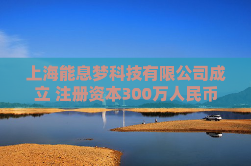 上海能息梦科技有限公司成立 注册资本300万人民币