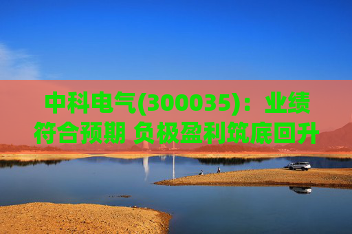 中科电气(300035)：业绩符合预期 负极盈利筑底回升