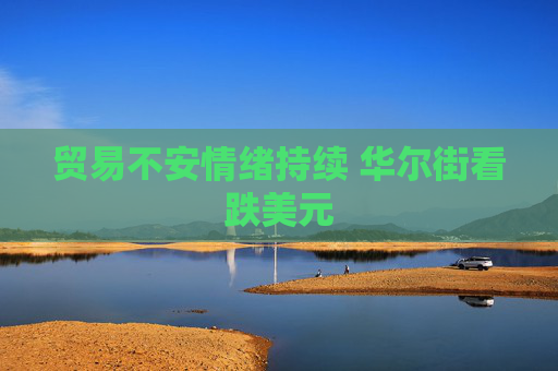贸易不安情绪持续 华尔街看跌美元