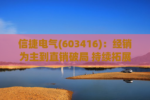 信捷电气(603416)：经销为主到直销破局 持续拓展第二成长曲线