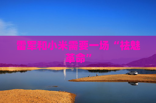 雷军和小米需要一场“祛魅革命”
