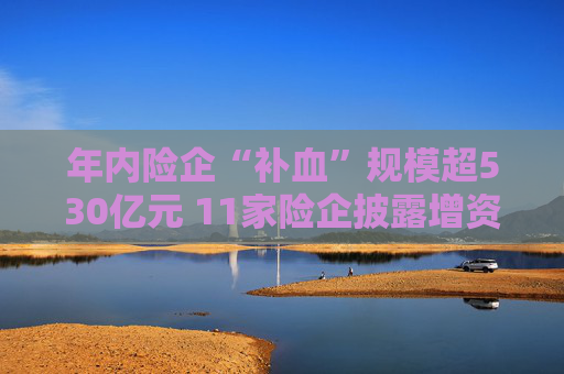 年内险企“补血”规模超530亿元 11家险企披露增资计划