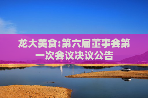 龙大美食:第六届董事会第一次会议决议公告