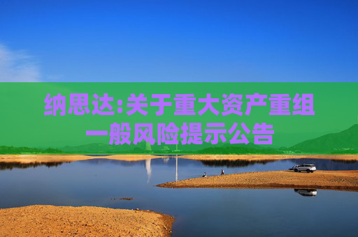 纳思达:关于重大资产重组一般风险提示公告