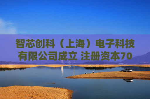 智芯创科（上海）电子科技有限公司成立 注册资本7000万人民币  第1张