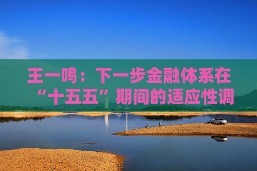 王一鸣：下一步金融体系在“十五五”期间的适应性调整非常重要